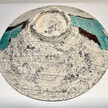 Amazon.co.jp: 作家物 堀川貴永作 器 大皿 鉢 花器 和食器